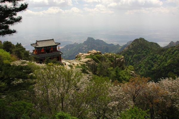 Picture 11 of The headquarters of the real business of 8 sects