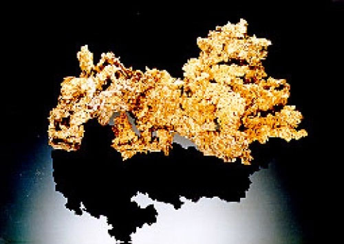 Picture 1 of The higher the price of gold, the more destroyed the Amazon forest