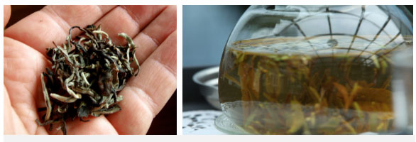 Picture 1 of The Himalayas are home to India's rarest tea varieties: 50 million to 1kg