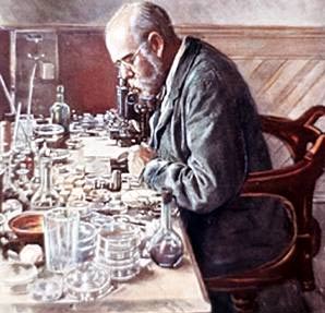 The history of using agar as a coagulant images 1