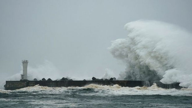 Picture 7 of The horrific image when the super typhoon Hagibis ripped up the house, causing many people to die