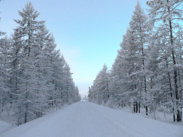 Picture 3 of The hottest and coldest places on Earth