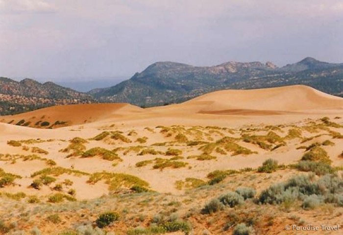 Picture 7 of The hottest and coldest places on Earth