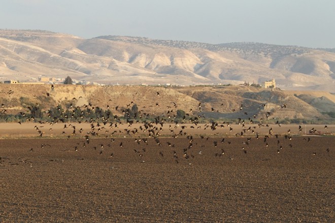 Picture 9 of The hottest places on the planet