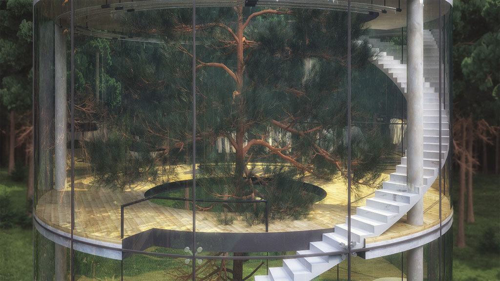 Picture 4 of The house is transparent throughout the forest