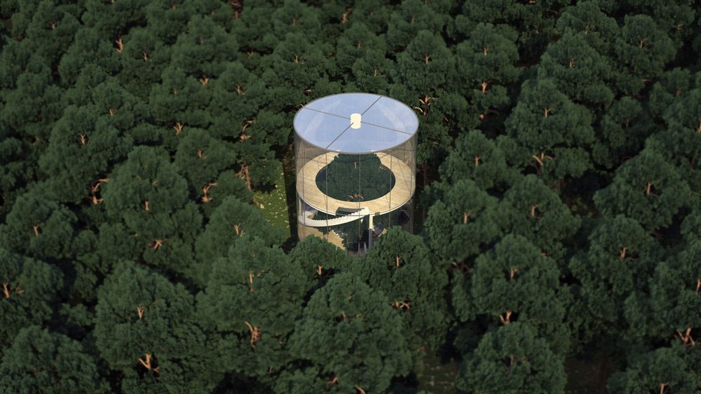 Picture 7 of The house is transparent throughout the forest