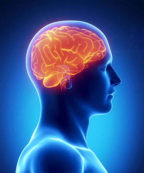 Picture 1 of The human brain is depressed