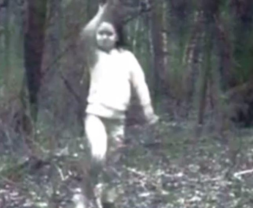 Picture 1 of The hunter takes a picture of the
