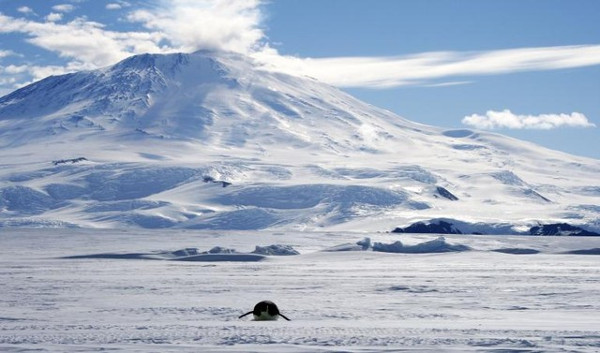 Picture 1 of The ice in Antarctica is continuing to thicken