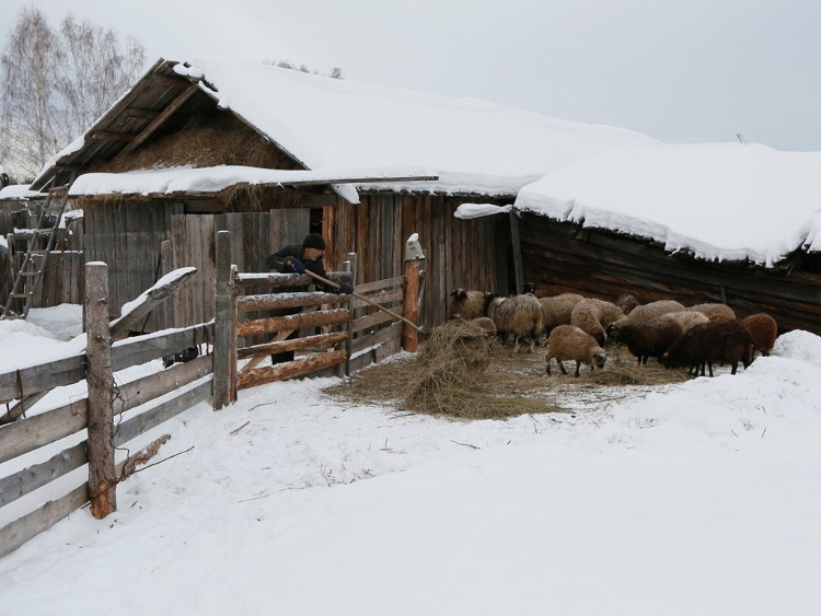 Picture 13 of The icy village has only one person living