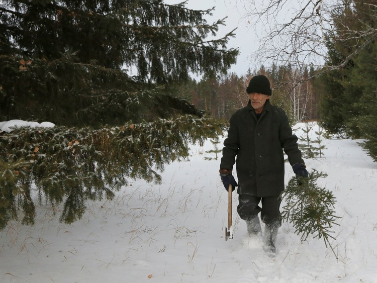 Picture 2 of The icy village has only one person living