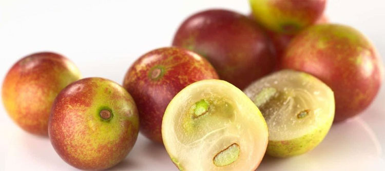 Picture 2 of The idea is ripe plum, but when replenished it is the result of billions of people yearning