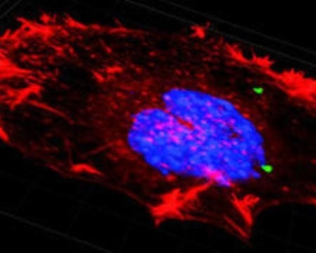 Picture 1 of The idea of ​​'Trojan Horse' can kill cancer cells