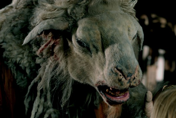 Picture 12 of The idea of ​​vegetarianism but likes