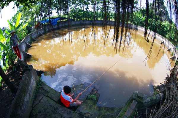 Picture 13 of The idyllic, dear beauty of Vietnamese village