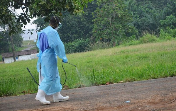 Picture 17 of The image demonstrates the difficulty of controlling Ebola virus