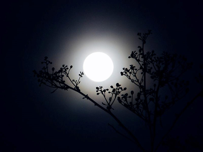 Picture 46 of The image of Super Moon is 70 years only once in Vietnam