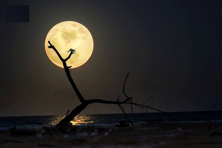 Picture 56 of The image of Super Moon is 70 years only once in Vietnam