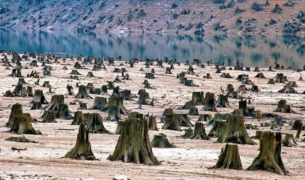 Picture 13 of The image of the terrible environmental destruction in the world