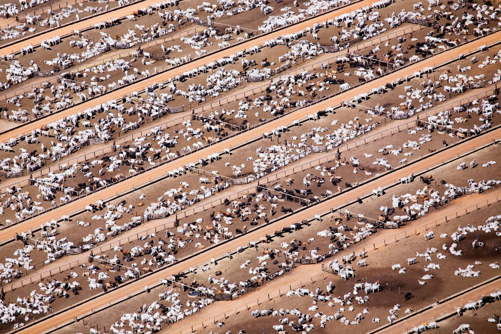 Picture 3 of The image of the terrible environmental destruction in the world