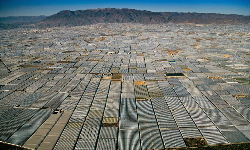 Picture 5 of The image of the terrible environmental destruction in the world