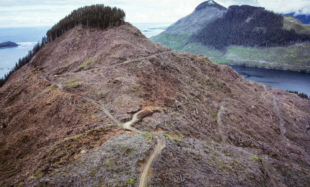 Picture 6 of The image of the terrible environmental destruction in the world