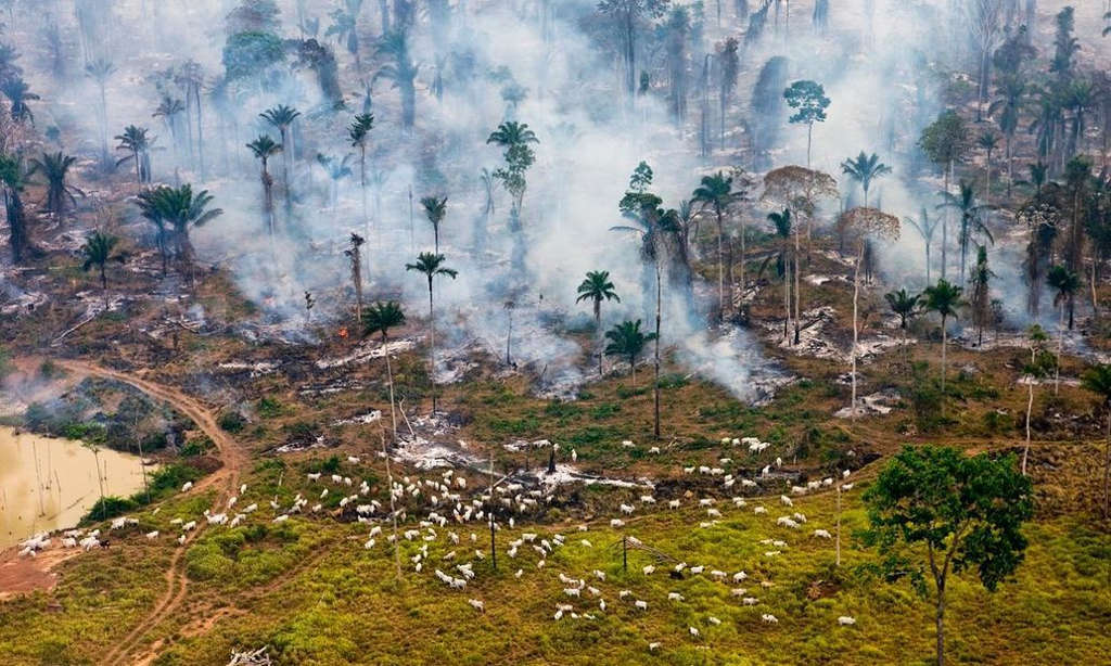 Picture 9 of The image of the terrible environmental destruction in the world