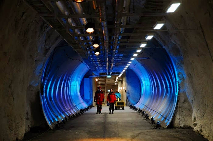 The impenetrable gold tunnels in the world images 8