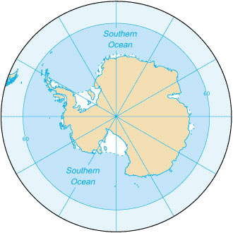 Picture 2 of The importance of ocean creatures