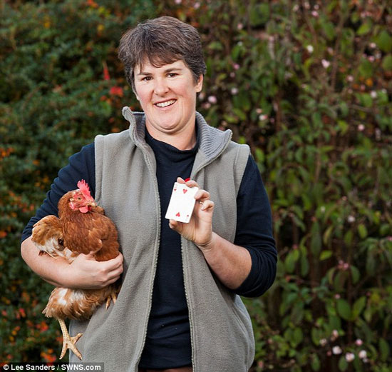 Picture 2 of The incredible ability of calculating hens