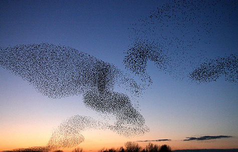 Picture 6 of The invaders do to change the world