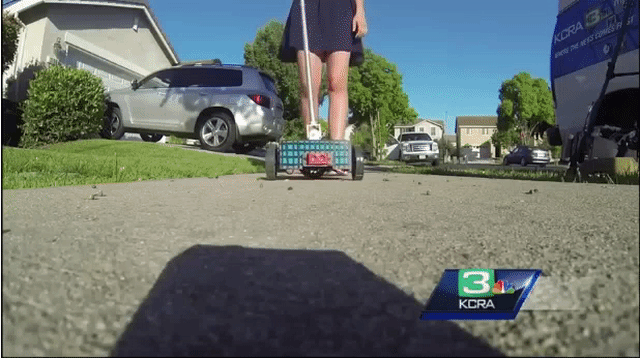 Picture 1 of The invention won the first prize of a 16-year-old girl, leading the dog to lose her job