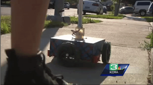 Picture 2 of The invention won the first prize of a 16-year-old girl, leading the dog to lose her job
