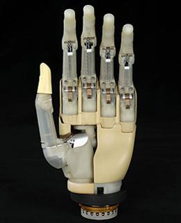Picture 3 of The inventions for people in 2008