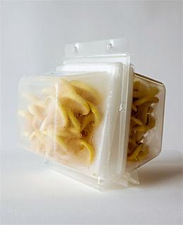 Picture 6 of The inventions for people in 2008