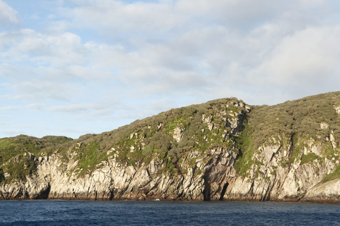 Picture 4 of The island is located near the Antarctic of New Zealand