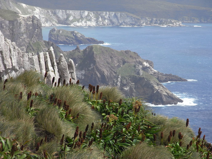 Picture 5 of The island is located near the Antarctic of New Zealand