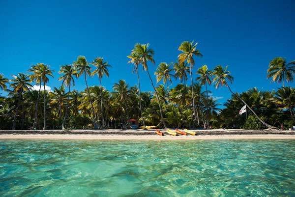 Picture 4 of The island of 'magic' helps you increase the height