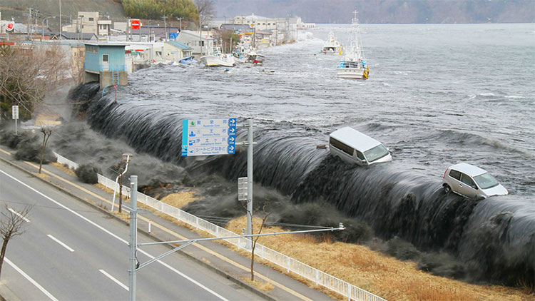 Picture 1 of The Japanese are afraid of the 'black tsunami' coming soon