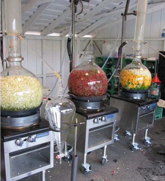 Picture 4 of The Japanese think of 'milk tea flavored water' just from a very simple method