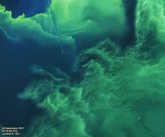 Picture 3 of The lake in America changes color beautifully, but it is extremely bad news