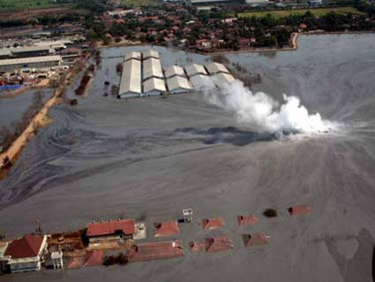 Picture 1 of The land for 10 years was attacked by mud