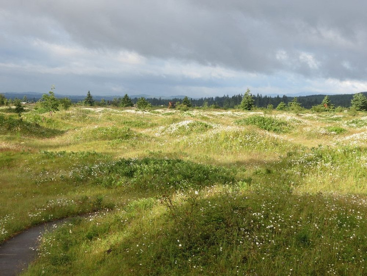 Picture 4 of The land suddenly grew to thousands of graves that caused scientists a headache