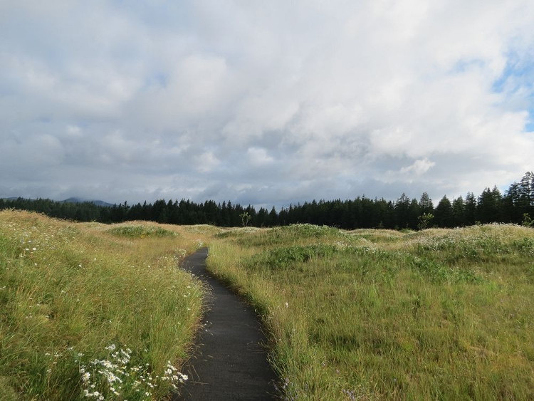 Picture 5 of The land suddenly grew to thousands of graves that caused scientists a headache