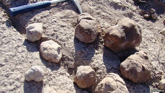 Picture 2 of The largest collective pit of the planet