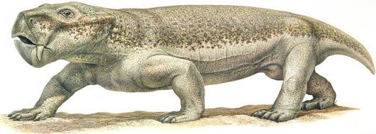 Picture 3 of The largest collective pit of the planet