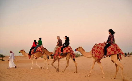 Picture 3 of The largest desert - desert in the world (2)