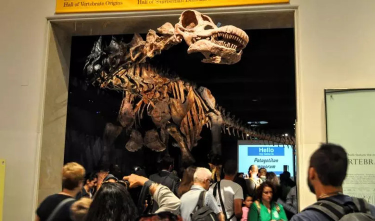 Picture 2 of The largest dinosaur in the world history is as big as a spaceship