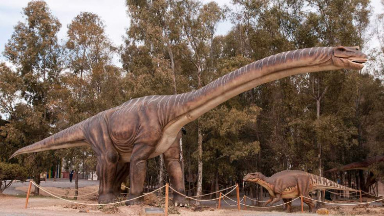 Picture 3 of The largest dinosaur in the world history is as big as a spaceship