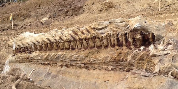 Picture 7 of The largest dinosaur mecca in the world